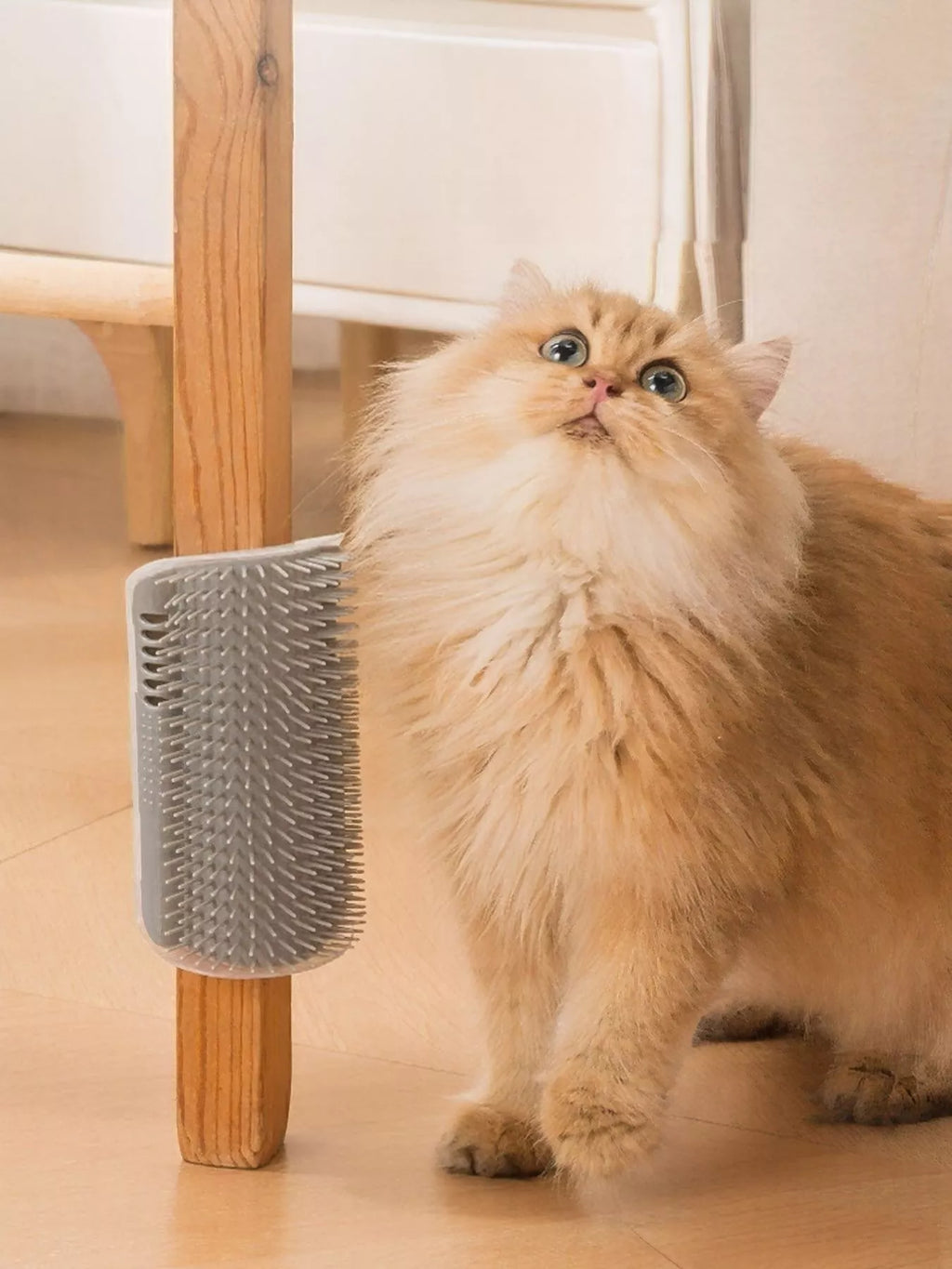 Brosse auto-toilettage murale pour chat en forme d'angle à 90 degrés, couleur bleu turquoise avec poils doux en silicone, montrant un chat tigré roux et blanc se frottant avec plaisir contre la brosse fixée dans le coin d'un mur blanc, démonstration d'utilisation réelle du produit de massage et d'élimination des poils morts pour félins
