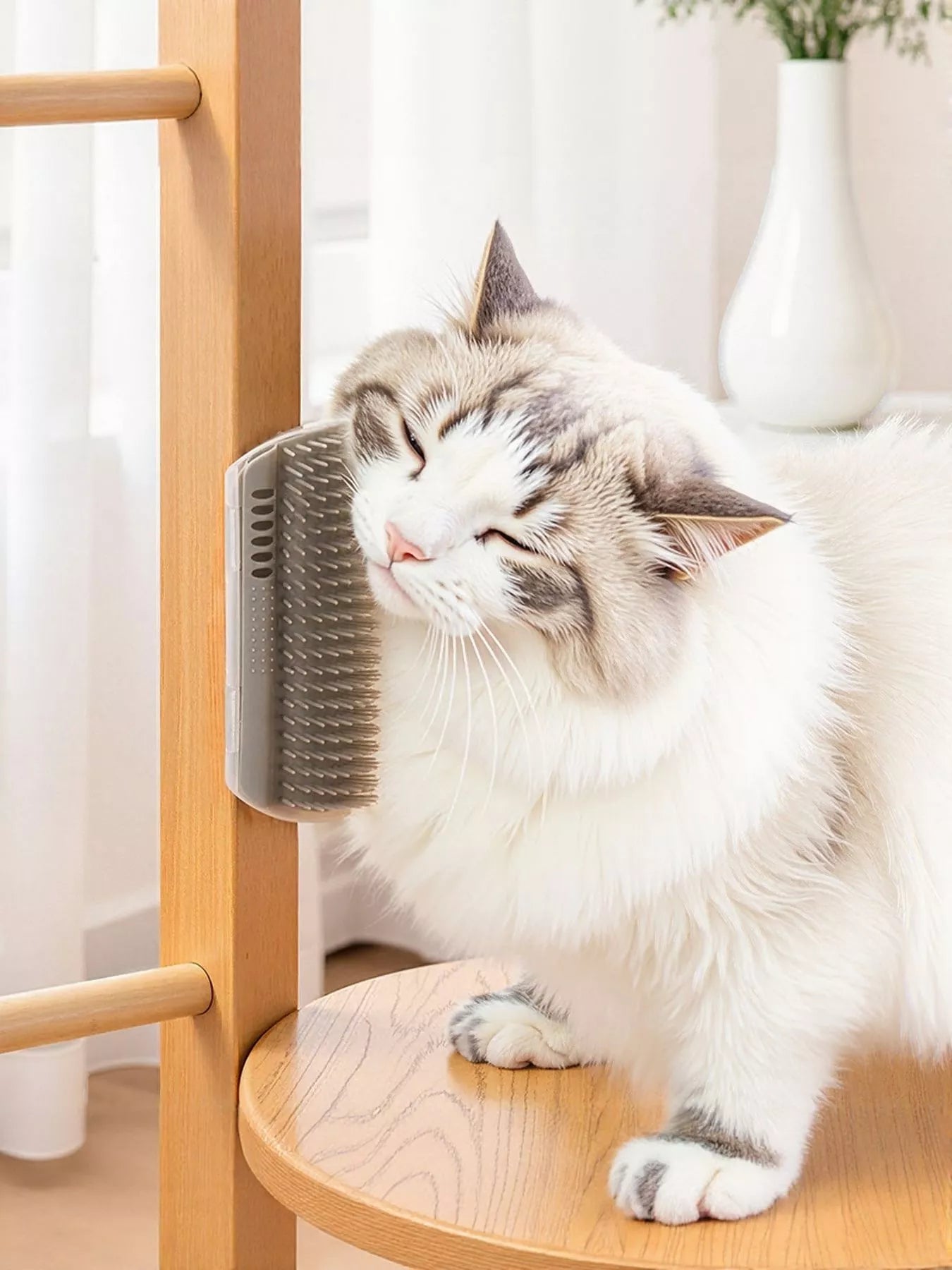 Gros plan détaillé de la brosse murale d'angle pour chat en plastique bleu avec rangées de picots souples en silicone de différentes longueurs, texture douce et flexible conçue pour masser délicatement la peau du chat tout en capturant les poils morts, vue montrant la qualité et la densité des poils de la brosse
