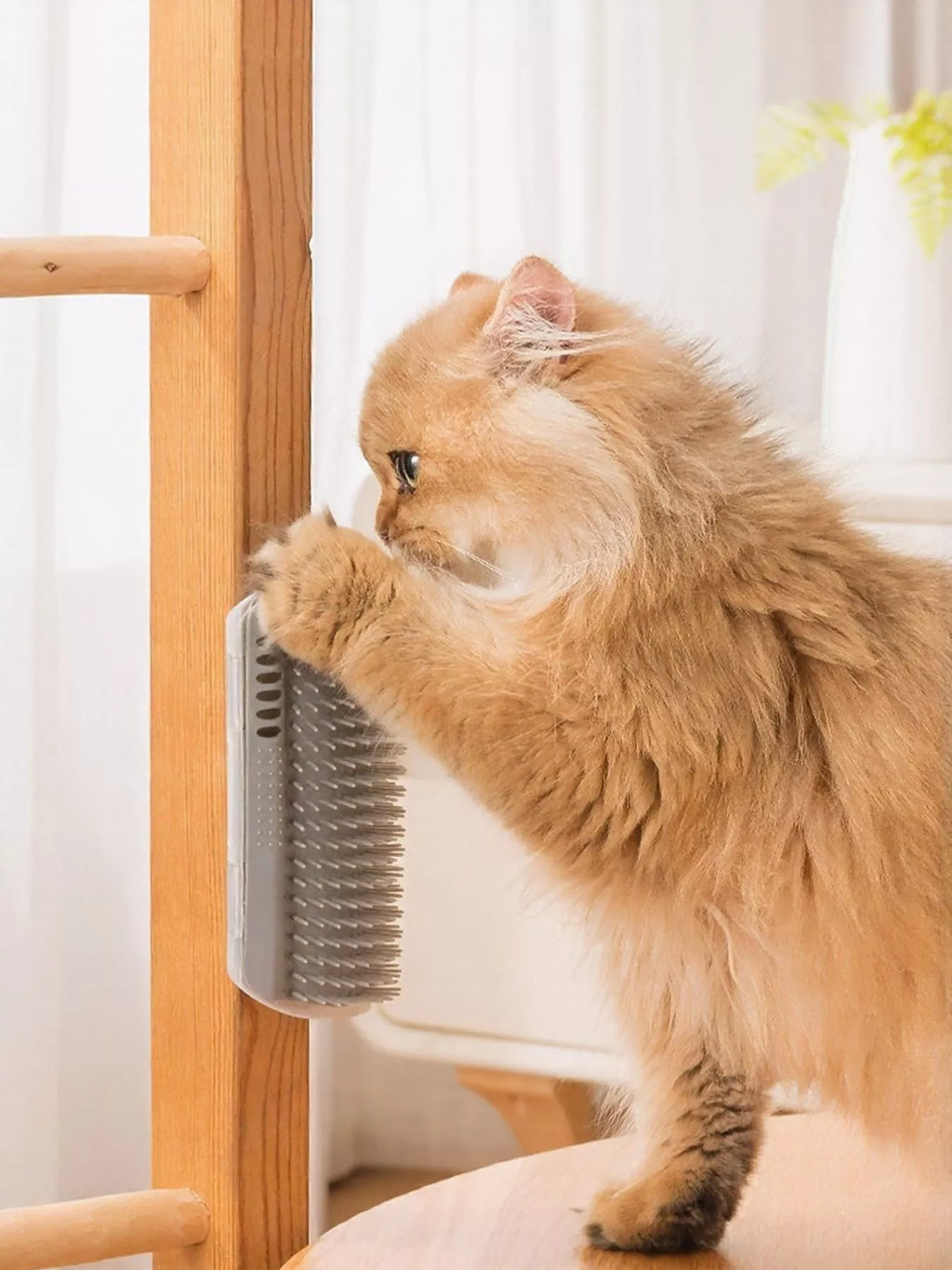 Chat domestique heureux et détendu utilisant de manière autonome sa brosse auto-toilettage fixée à l'angle d'un mur, montrant comment l'animal se frotte naturellement contre les poils doux pour se masser et se brosser simultanément, illustration du bien-être et du comportement naturel du félin
