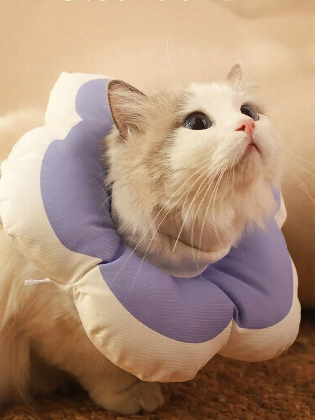 Collier élisabéthain doux en forme de fleur colorée pour chien et chat, design innovant en tissu composite imperméable rembourrée, alternative confortable au cône en plastique rigide pour protection post-opératoire anti-léchage, photographié sur fond blanc montrant la forme de pétales et la fermeture ajustable
