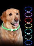 Collier LED rechargeable USB lumineux pour chien et chat en silicone souple, couleur bleu turquoise brillant dans l'obscurité, montrant le dispositif de sécurité nocturne anti-perte avec lumière LED éclatante visible à 500 mètres, produit photographié sur fond noir pour démontrer l'intensité lumineuse
