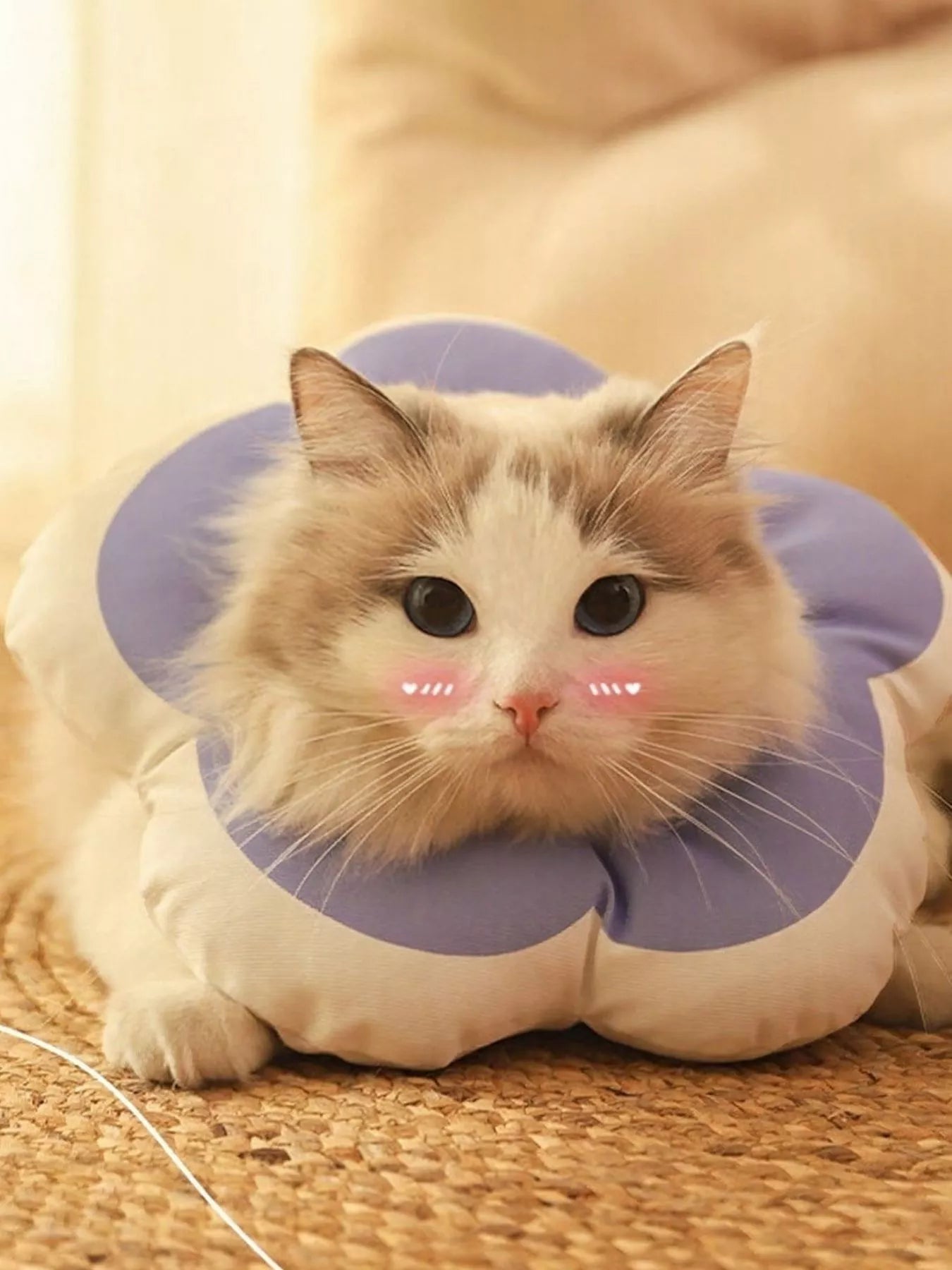 Chien de petite à moyenne taille portant joyeusement un collier élisabéthain bleu en forme de fleur, expression heureuse et détendue montrant l'acceptation immédiate du produit, le chien peut voir normalement et ne montre aucun signe de stress contrairement au cône traditionnel, protection efficace pendant la période de guérison
