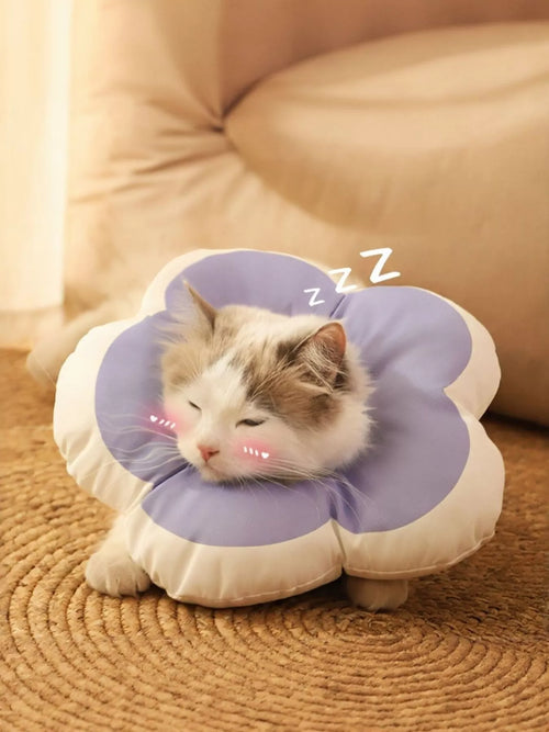 Chat domestique portant un collier élisabéthain rose en forme de fleur autour du cou, l'animal semble détendu et confortable malgré le dispositif de protection post-opératoire, démonstration que le collier doux n'empêche pas la vision périphérique ni les mouvements naturels du félin en convalescence
